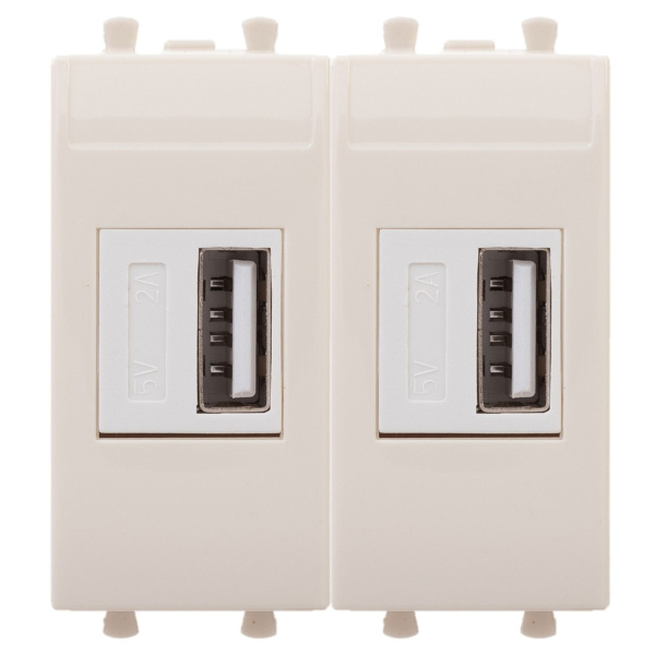 DKC USB зарядное устройство модульное, "Avanti", "Ванильная дымка", 2 модуля