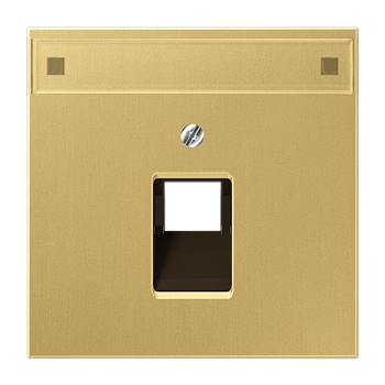 JUNG крышка для модульных разъемов, латунь Classic ME2969-1NAUAC