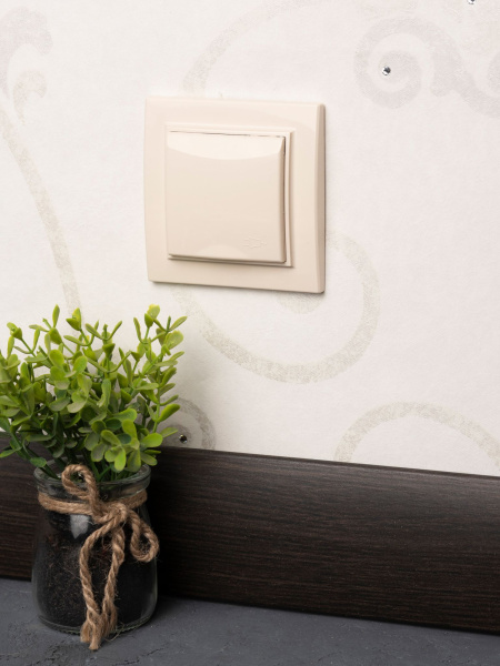 Купить EKF Basic Минск Бежевый Розетка с/з, со шторками и крышкой, 16А, СП