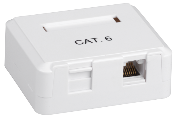 Купить IEK ITK Настенная информационная розетка RJ45 категория 5E FTP 2-порт CS2-1C5EF-22