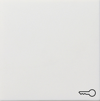 Gira Клавиша с пиктограммой "ключ" 0287112