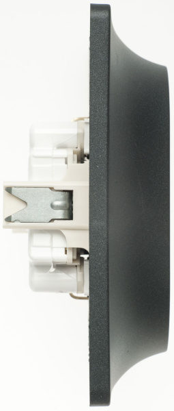 Купить Systeme Electric Glossa Антрацит Розетка 2-ая с/з со шторками, 16А (в сборе)