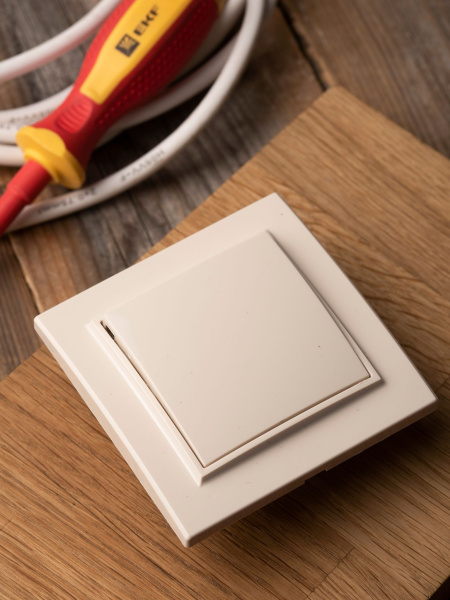 Купить EKF Basic Минск Бежевый Кнопка нажимная, 10А, СП