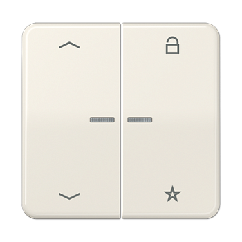 JUNG Центральная плата для вставок управления двигателями, слоновая кость CD1701P