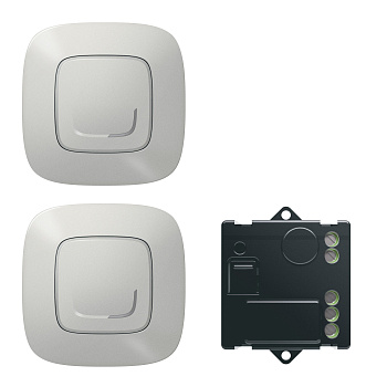 Legrand NETATMO Valena ALLURE Алюминий Пакет управления освещением с двух мест 752750