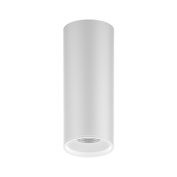 Купить Gauss Светильник Overhead накл цил 12W 920lm 4100K 170-240V IP20 79*200мм белый LED HD013