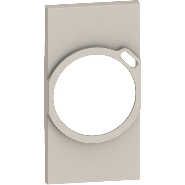 BT Living now Песочный Лицевая панель для комбинированных розеток 2К+З/USB 2 мод KM63