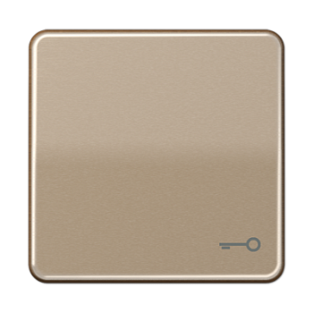 JUNG CD 500/CD plus Бронза Клавиша 1-ая с символом КЛЮЧ CD590TGB