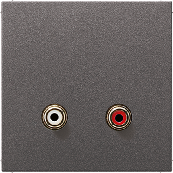 JUNG Накладка для розетки 2x Cinch Audio (RCA) MAAL1021AN