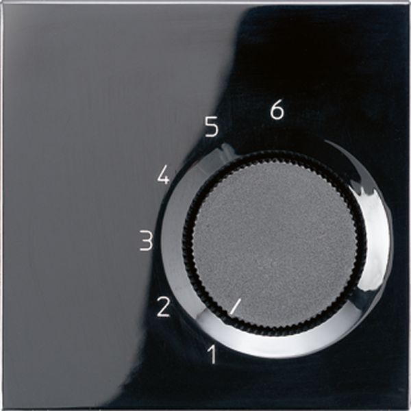 JUNG Комнатный термостат, чёрный TRLS236SW