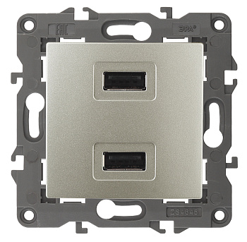 ЭРА Б0034371 Elegance Шампань Розетка USB 2-ая