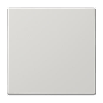 JUNG Клавиша для KNX кнопки, 1 группа дюропласт светло-серый LS101LG