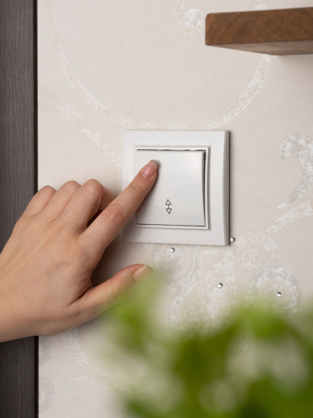 Купить EKF Basic Минск Белый Выключатель проходной 1-кл, 10А, СП