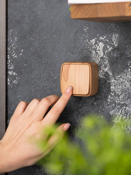 Купить EKF Basic Минск Светлое дерево Выключатель 1-кл, 10А, ОП