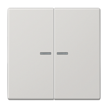 JUNG Клавиша для KNX кнопки, 2 группы, с окошком дюропласт светло-серый LS102KO5LG