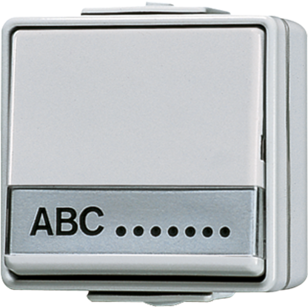 JUNG Выключатель универсальный для накладного монтажа с полем для надписи 17 x 72 mm IP44 606NAW
