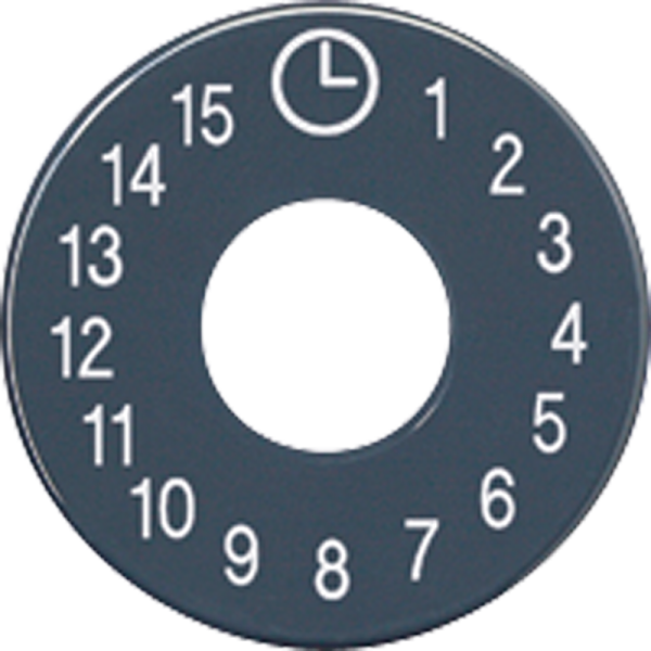 JUNG диск со шкалой, антрацит SKS11015