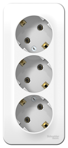 Купить Systeme Electric Blanca наруж Бел Розетка 3-ая с/з без шторок изолир. пластина 16А, 250В