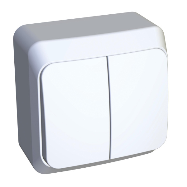 Купить Systeme Electric Этюд наруж Бел Выключатель 2-клавишный