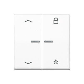 JUNG Центральная плата для вставок управления двигателями, белая AS1701PWW