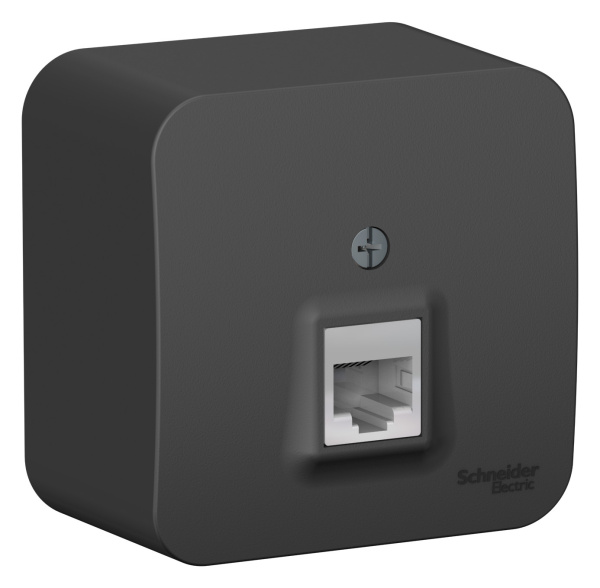 Купить Systeme Electric Blanca наруж Антрацит Розетка компьютерная RJ45, кат.5E, изолир. пластина