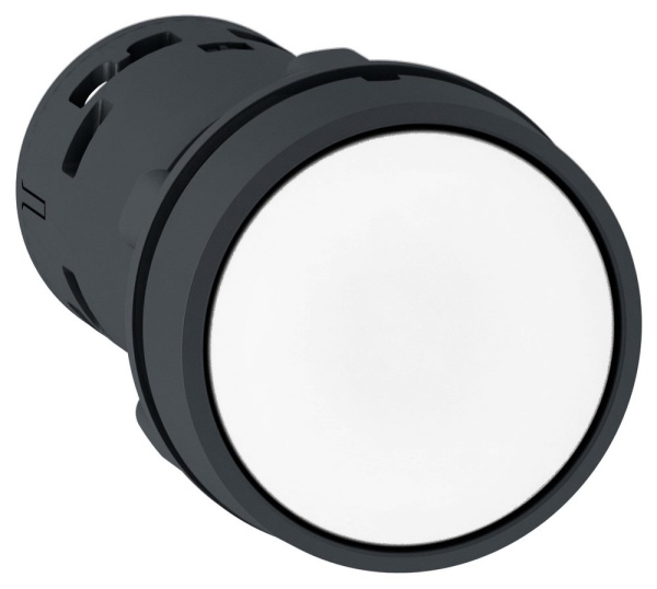 Купить SE XB7 Кнопка с белым толкателем НО +НЗ XB7NA15