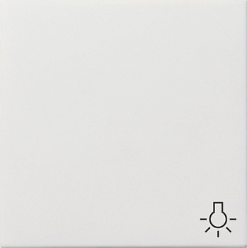 Gira Клавиша с пиктограммой "свет" 0285112