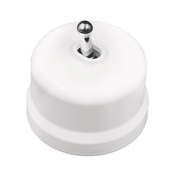 BIRONI Лизетта Пластик Белый Выключатель 1-кл (тумблерный), ручка Серебро B1-230-21-S