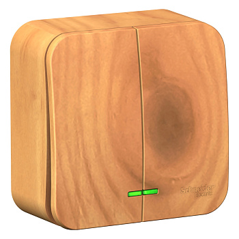 Systeme Electric Blanca наруж Ясень Выключатель 2-клавишный с подсветкой, 10А, 250B