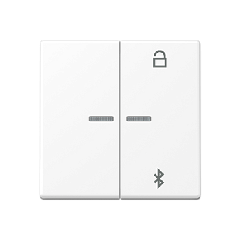 JUNG A Flow/A 550 Белый матовый Таймер универсальный Bluetooth A1751BFBTWWM