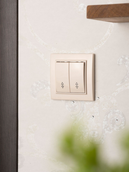 Купить EKF Basic Минск Бежевый Выключатель проходной 2-кл, 10А, СП