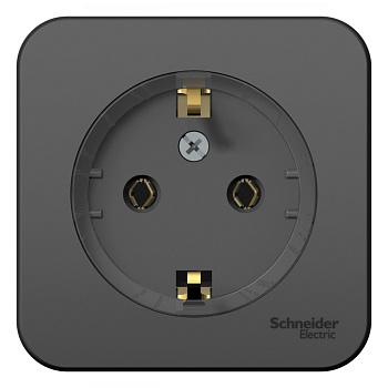 Systeme Electric Blanca наруж Антрацит Розетка с/з без шторок, (тонкая) 16А, 250В, изолир. пластина