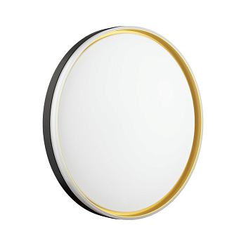 Sonex 7619/DL PALE SN 042 Светильник пластик/белый/черный/золотистый LED 48Вт c ДУ 3000-6000К D390 IP43 пульт ДУ SAVI