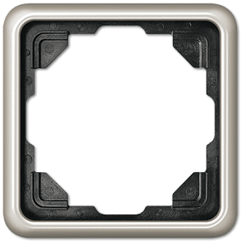 JUNG CD 500 Платина Рамка 1-ая CD581PT