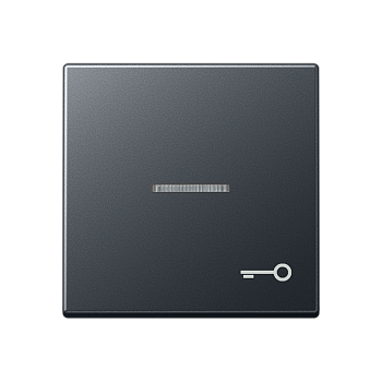 JUNG Клавиша с символом двери с подсветкой, матовый антрацит A590BFKO5TANM