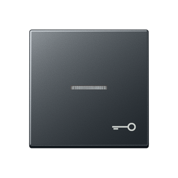 JUNG Клавиша с символом двери с подсветкой, матовый антрацит A590BFKO5TANM