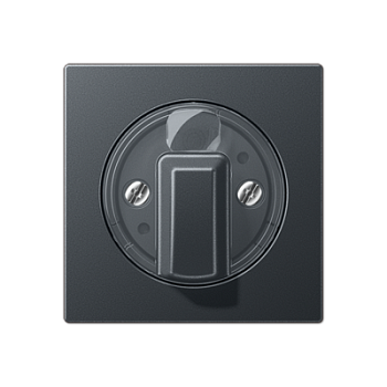 JUNG Матовый Антрацит накладка поворотного механизма (лакированный дюропласт) A1541BFANM