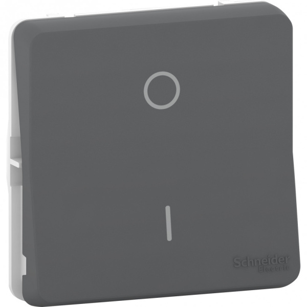 SE Mureva Styl Антрацит Переключатель 2-полюсный, IP55 MUR35034