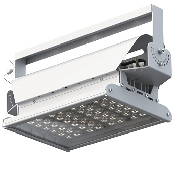 Galad Эверикс LED-100-АС5.1-IP66-У1(1/LIRA/740/RAL7035/TG/AC230/D/Х/G1) 20693