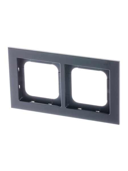 ABB Axcent металл/матовый черный Рамка 2-постовая 2CKA001754A4709