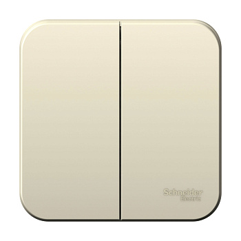 Systeme Electric Blanca наруж Молочный Выключатель 2-клавишный, 6А, 250В