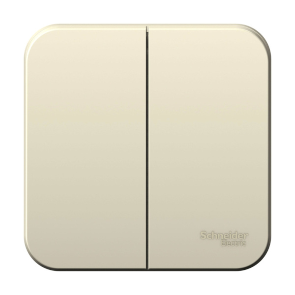 Systeme Electric Blanca наруж Молочный Выключатель 2-клавишный, 6А, 250В