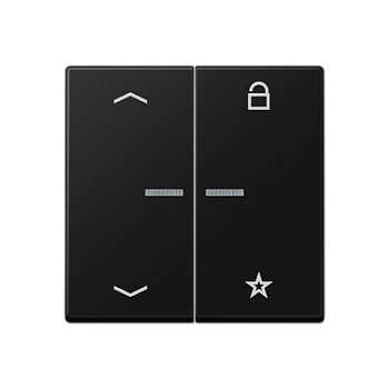 JUNG A Flow/A 550 Черный матовый Центральная плата универсальная с символами «стрелки» A1701BFPSWM