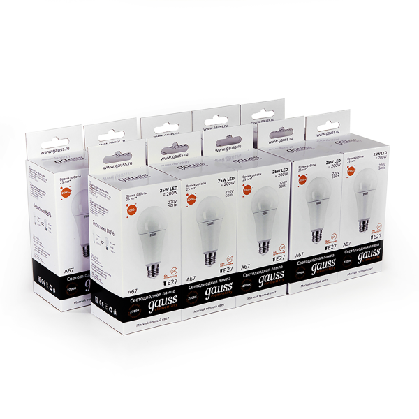Купить Gauss Лампа Elementary A67 25W 2000lm 3000K E27 LED 73215