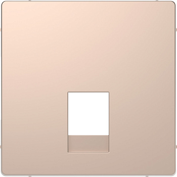 SE Merten D-Life Шампань Накладка центральная для розетки 2-ной RJ11/RJ12 MTN4215-6051