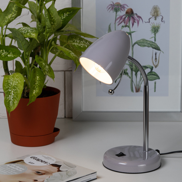 ЭРА наст.светильник N-116-Е27-40W-GY серый (16/96)