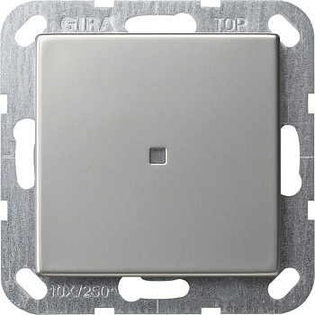 Gira Выключатель с клавишей 2-полюсный с окошком 0122600