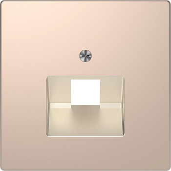 SE Merten D-Life Шампань Накладка центральная для розетки 1-ной RJ45 MTN4521-6051