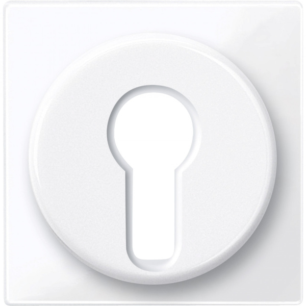 SE Merten SM Бел Актив Центральная плата для переключателя с фиксатором пложения (MTN319525)