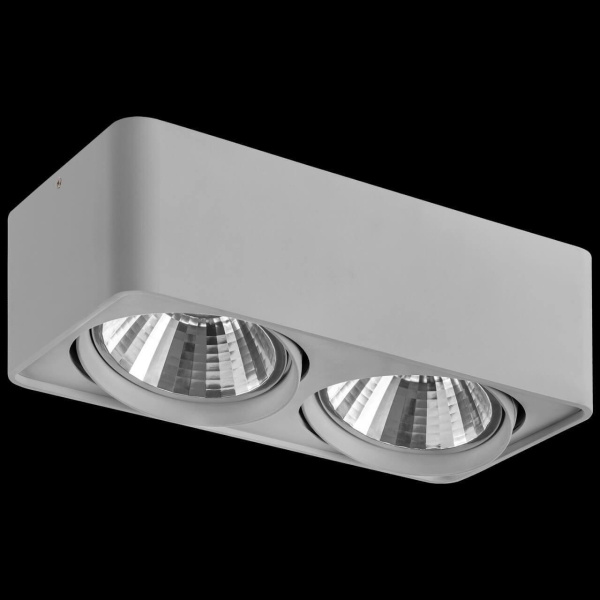 Купить Lightstar Светильник точечный накладной декоративный под заменяемые галогенные или LED лампы Monocco Lightstar 212629